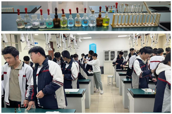 高二化学实验活动314.png 高二化学实验活动314.png